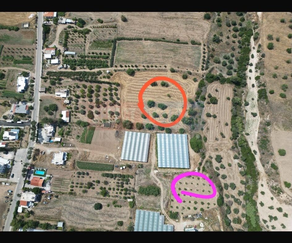 Large Residential Plot, Tatlisu, North Cyprus Properties for Sale