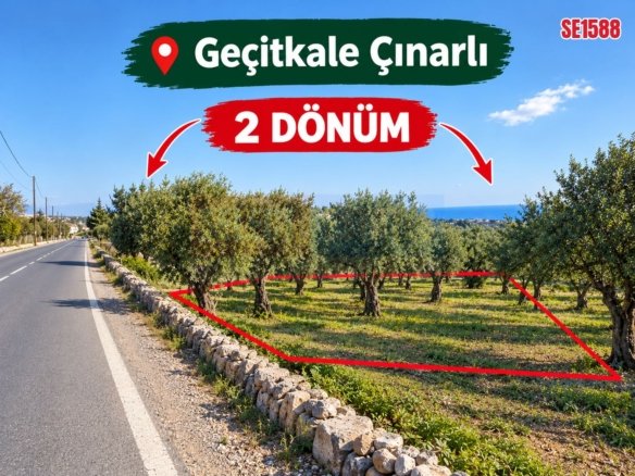 Investment Land, Cinarli, North Cyprus Properties for Sale